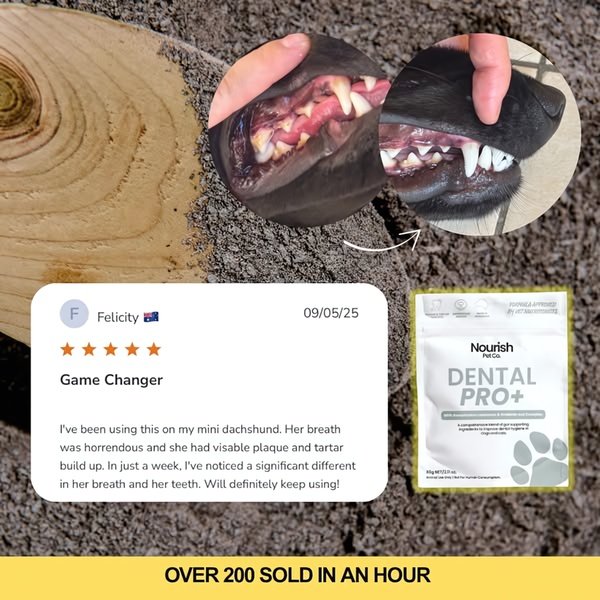 A split-screen before-and-after visual of a dog's teeth paired with a five-star customer testimonial for a dental supplement product.